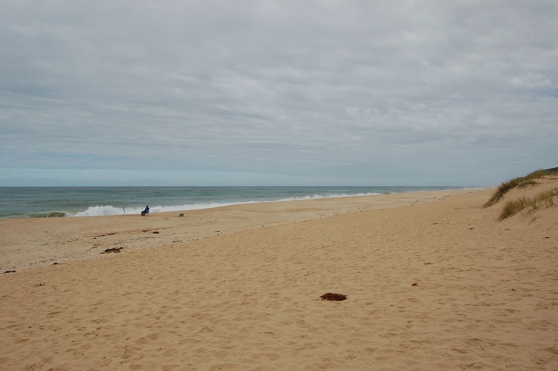 Lake Tyers Beach